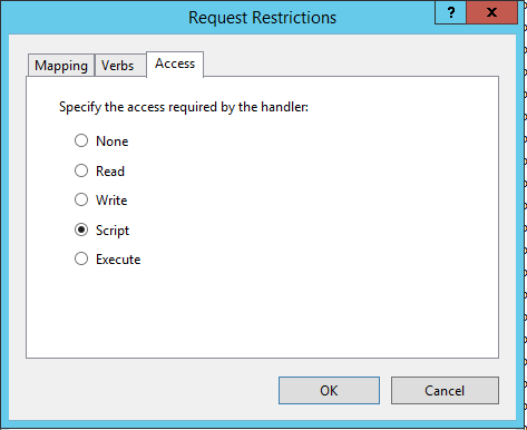 iis cannot verify access to path