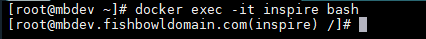 docker exec -it inspire bash code