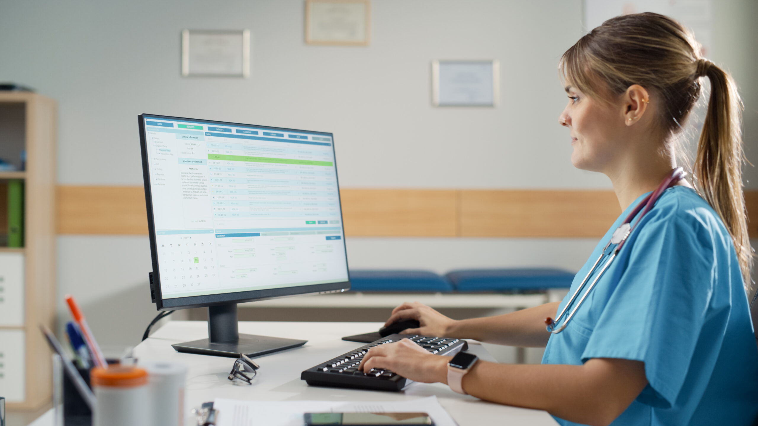 Head Nurse enters data into healthcare center's database on desktop computer